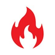 Planika logo