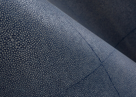 Icons_Shagreen_85523_Mood_Web_LR___hero_480_343.jpg
