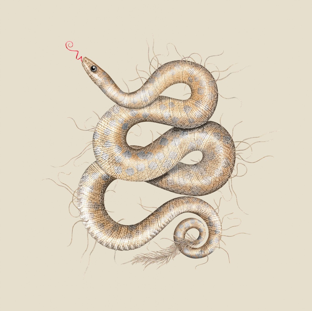 MoooiWallcovering_QueenCobra_Snake-fullscreen.jpg