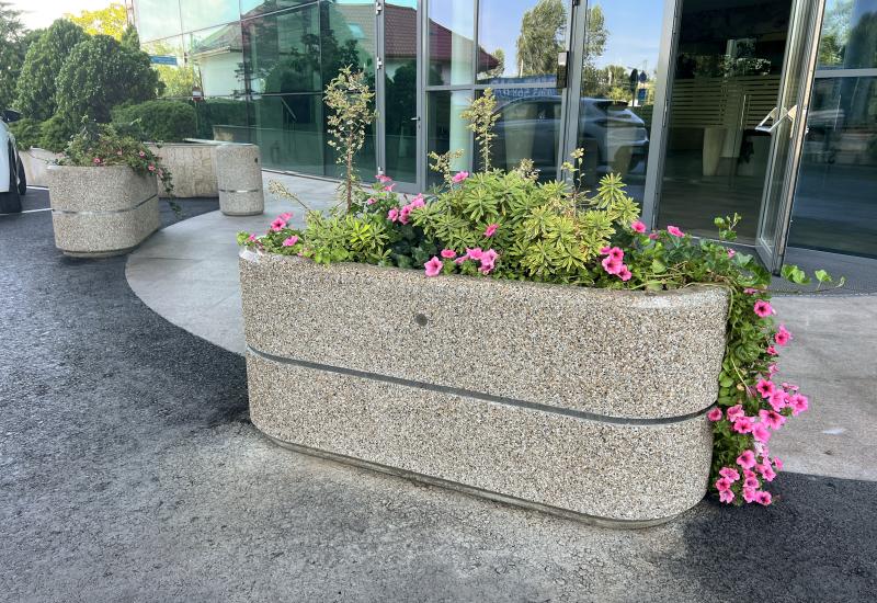 ETE Pictures CONCRETE PLANTER 196 DC34F72E-E3FE-2A42-0128-E73F72BD53E4.jpg