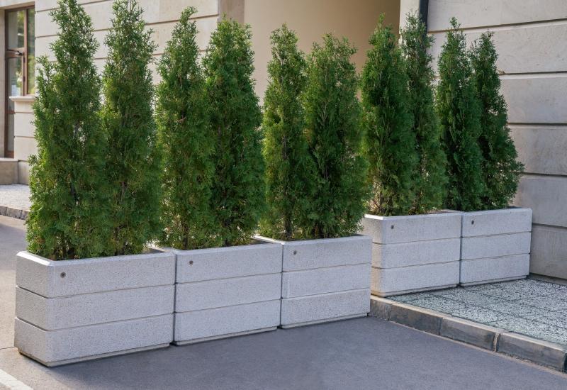 ETE Pictures RECTANGULAR CONCRETE PLANTER 78 32CA1A33-6D98-213A-89C6-154EB135A2DC.jpg