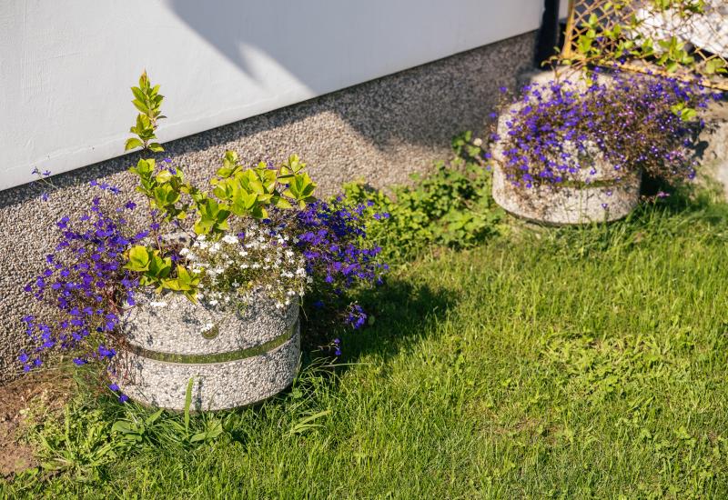 ETE Pictures ROUND CONCRETE PLANTER 23 27677E78-8D94-B1BE-2678-C52B4EE63EA7.jpg