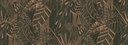 Eden Wildwalk Collection