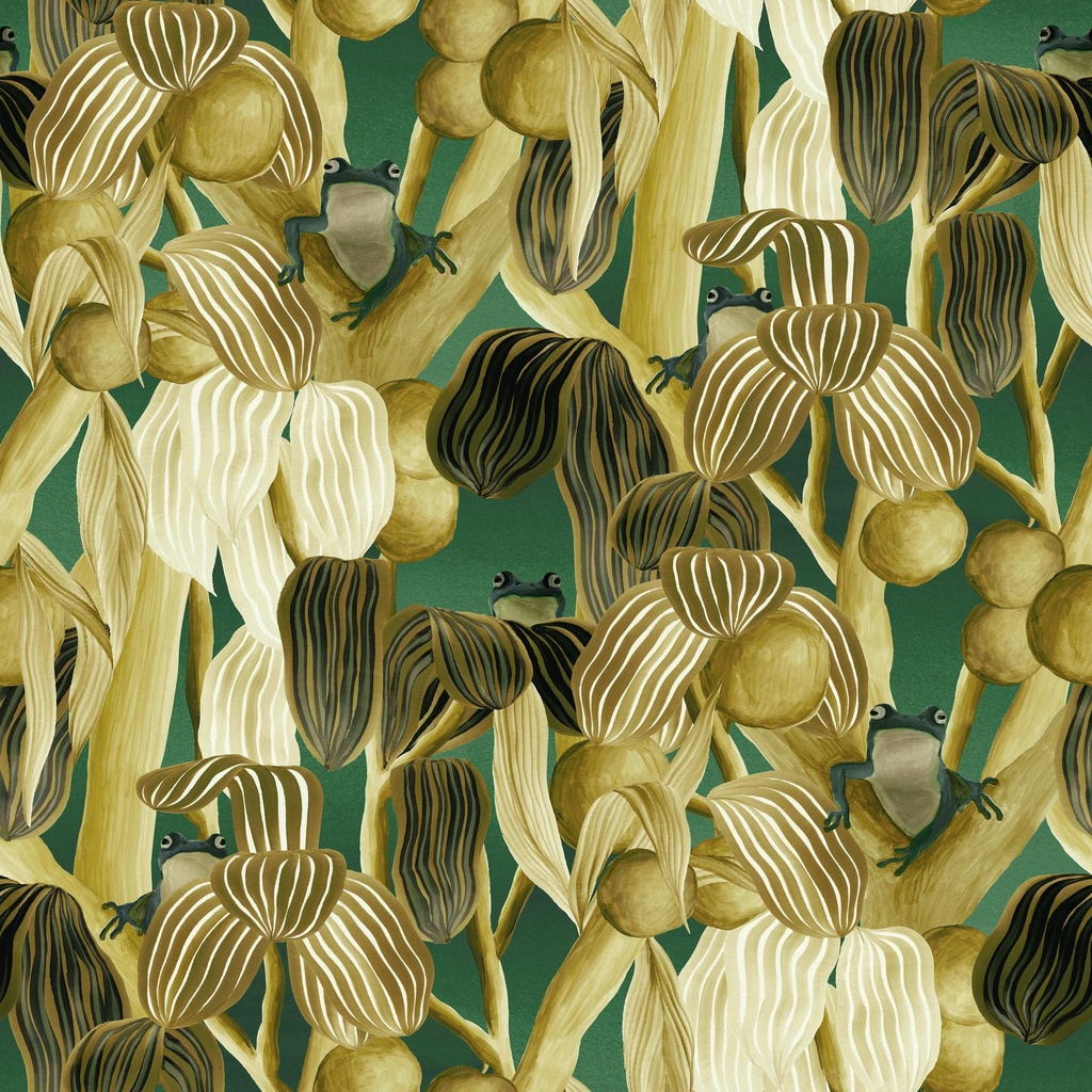 Les Grenouilles de Chavroches Decors & Panoramiques Collection