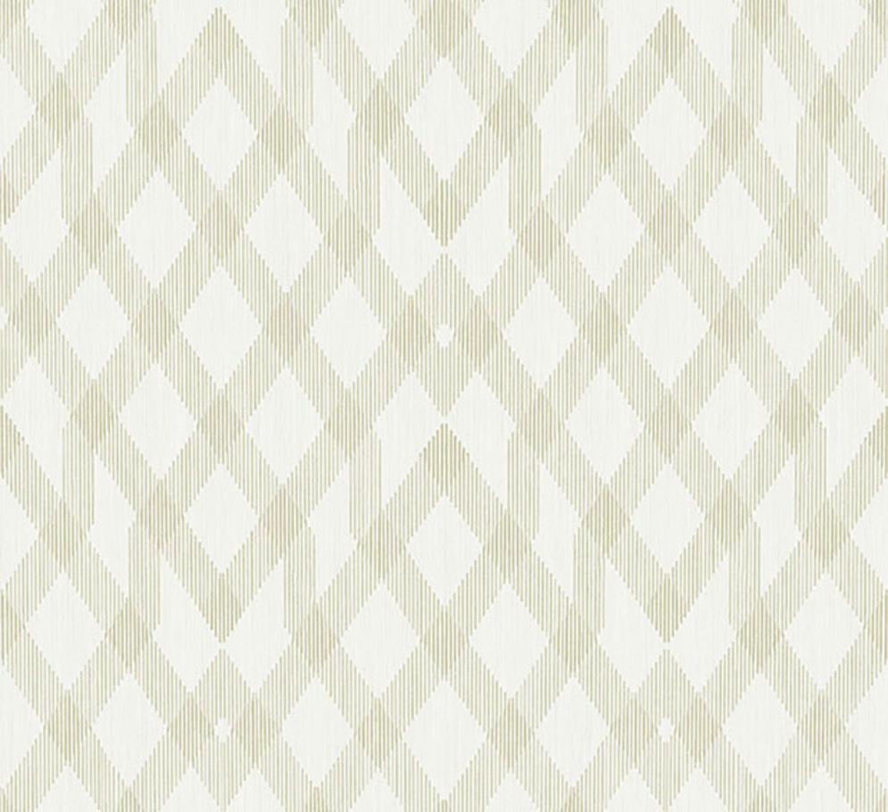 Moxie Insolence Collection