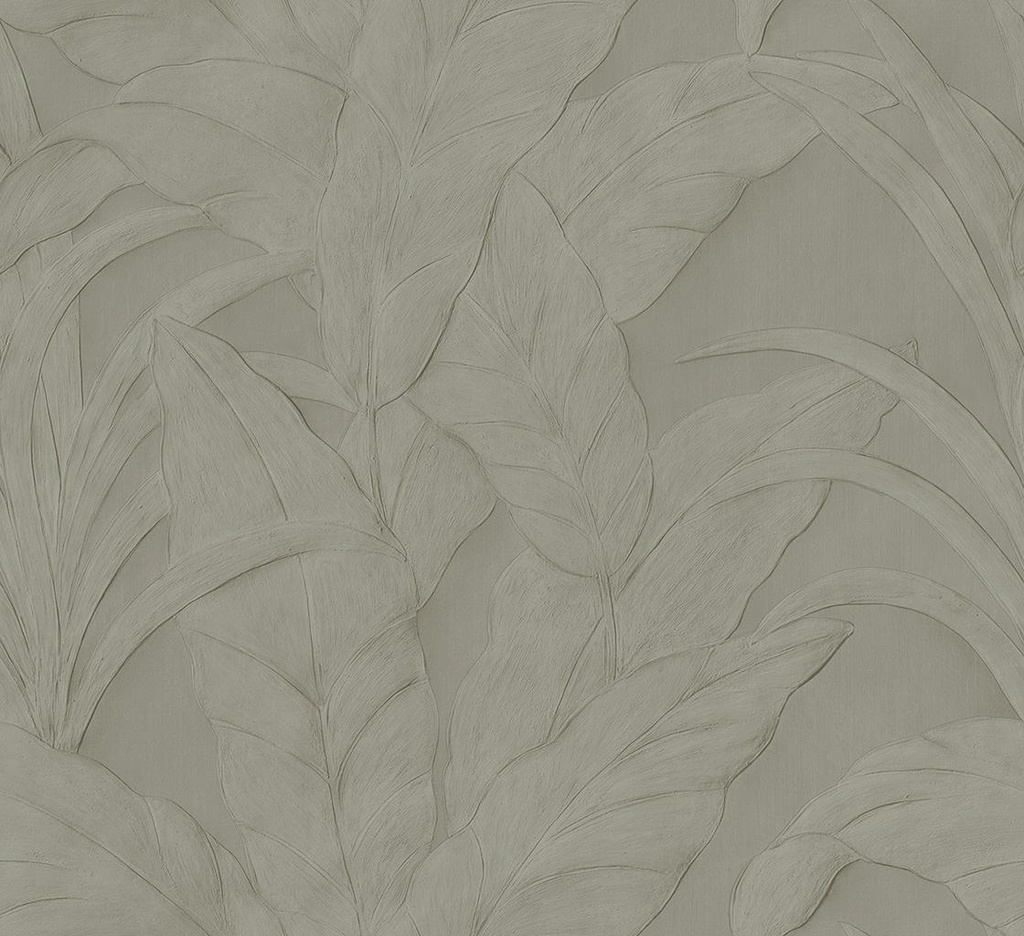 Musa Selva Collection