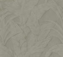 Musa Selva Collection