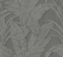 Musa Monsoon Collection