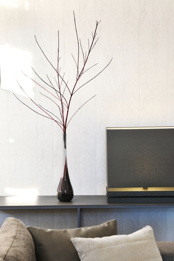 Itaya Selva Collection
