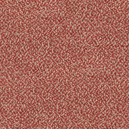 Nebbia Collection FG