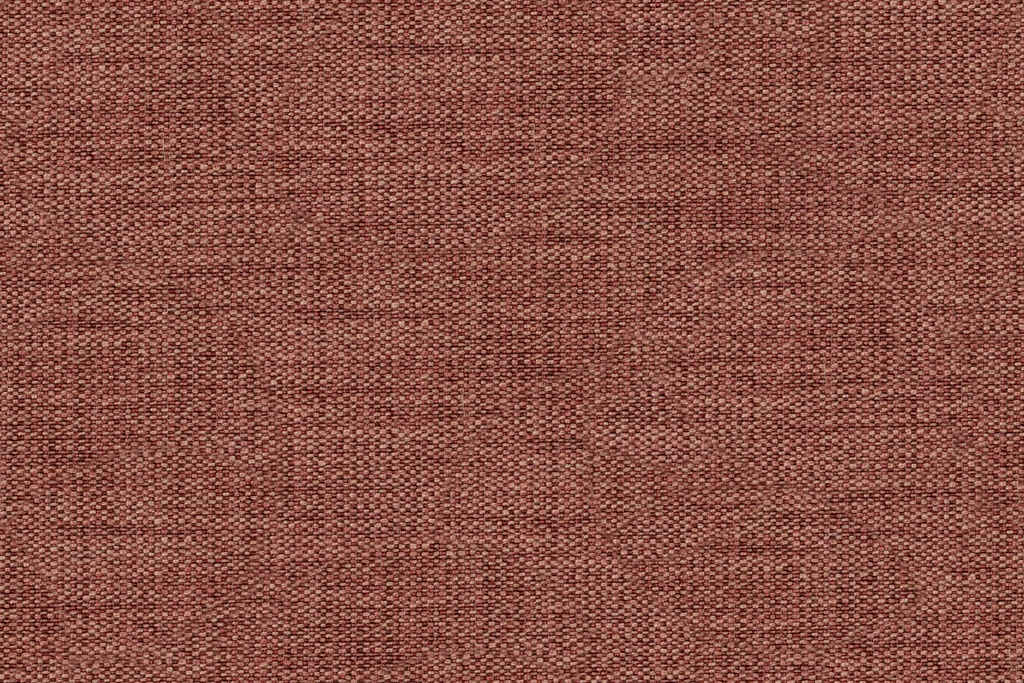 Avena Collection FG