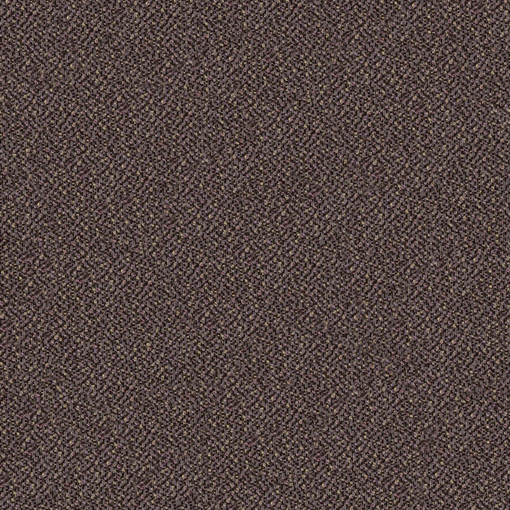 Bloom Collection FG