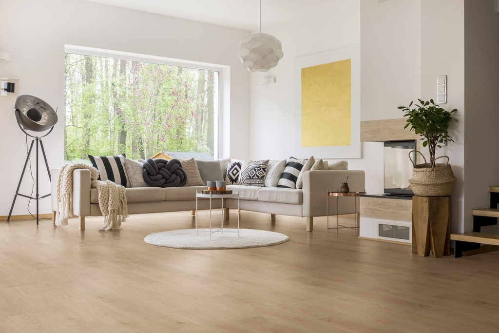 Easy Plus Collection